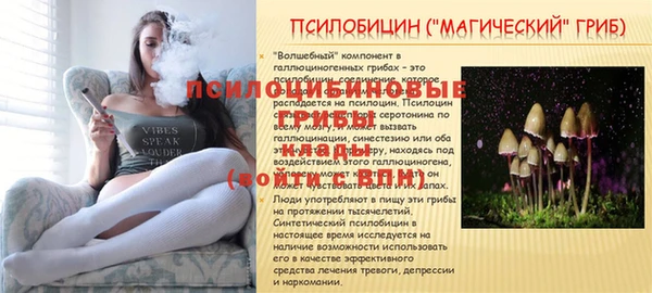 мдма Ельня