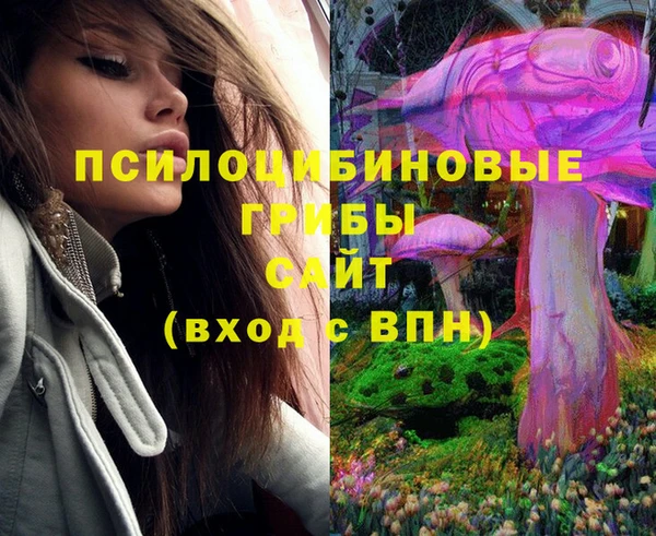 ешки Елизово