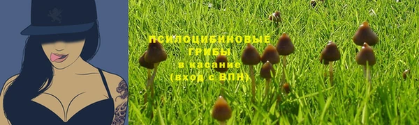 ECSTASY Заволжье
